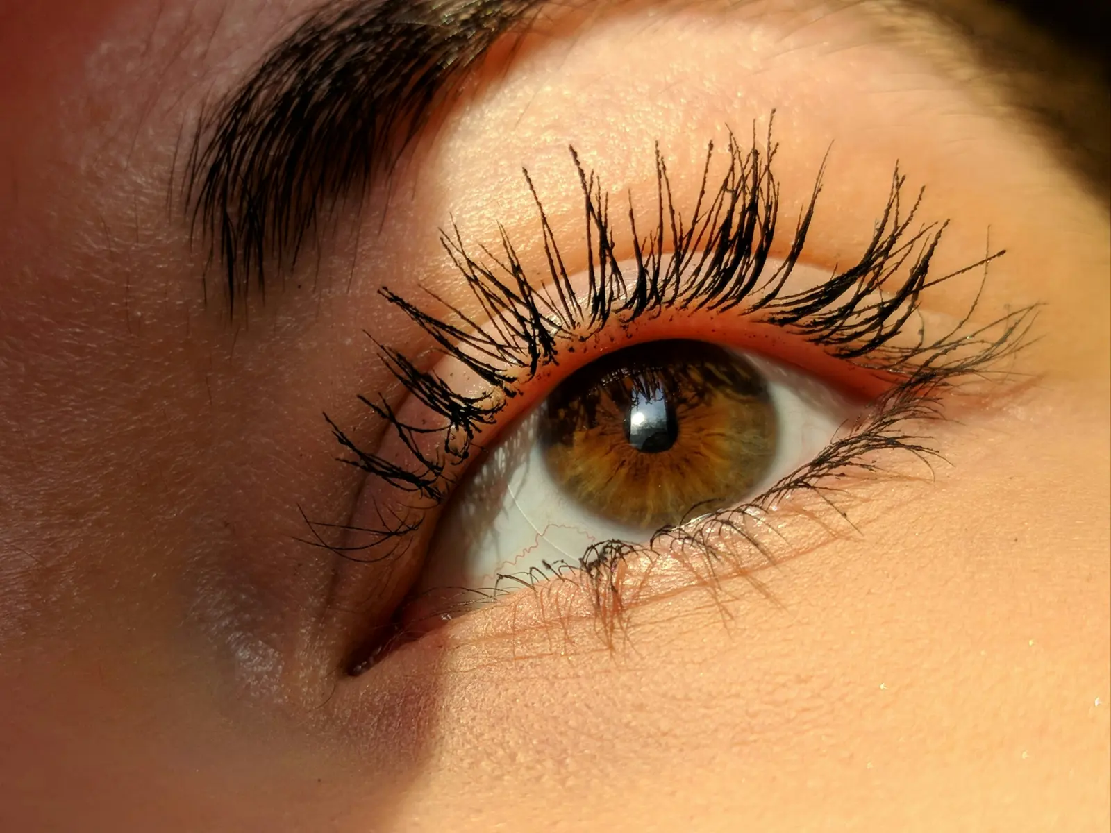 Eyelash Technicians in Southend-on-Sea